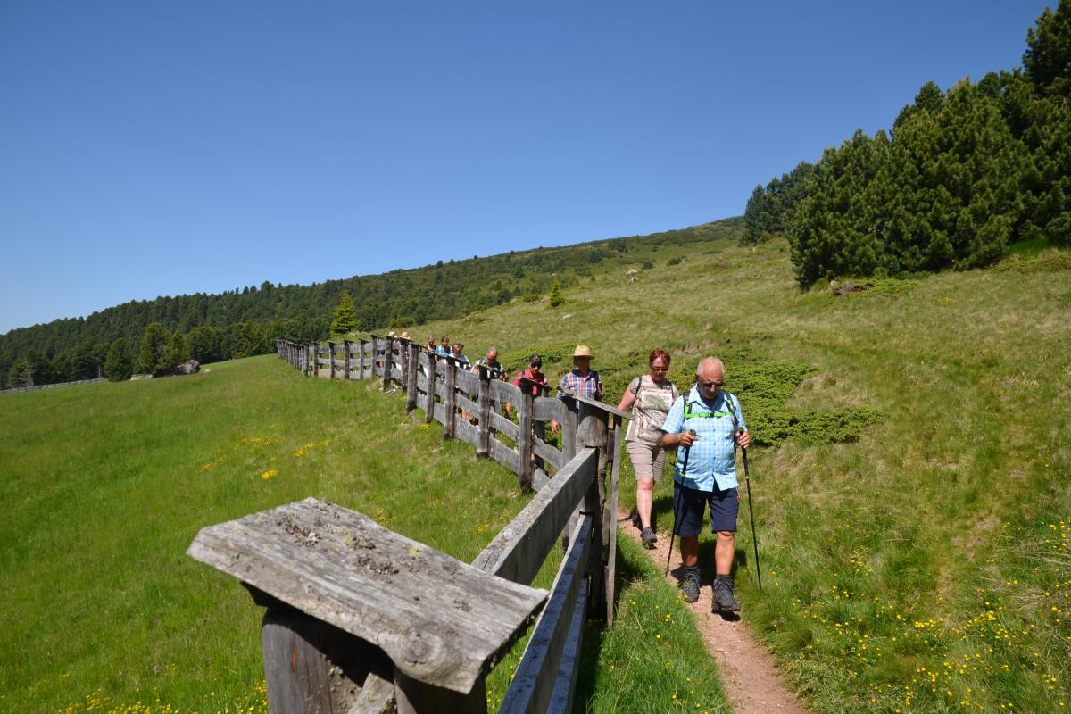 Platzer Alm 26.06.2019